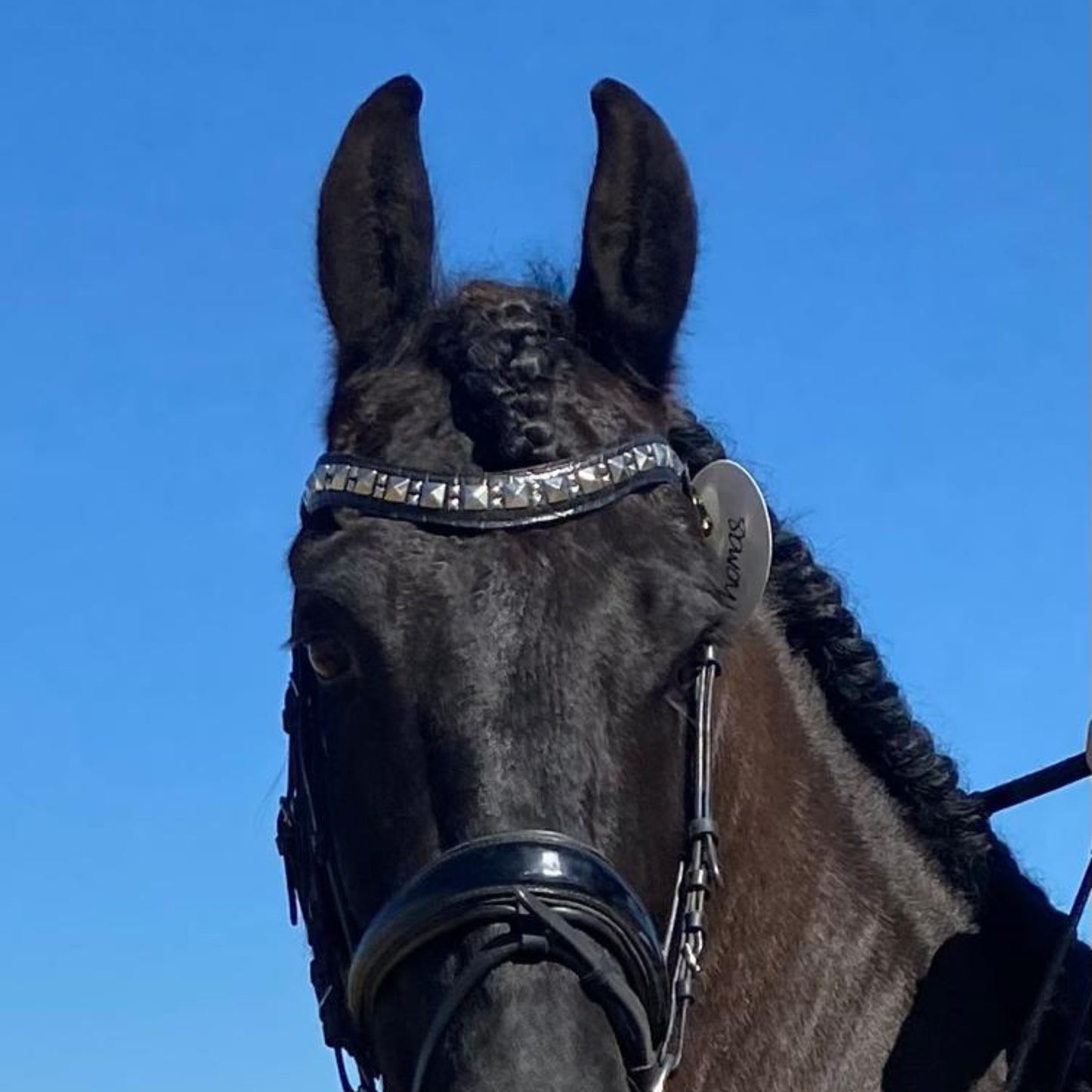 Zumo Browband