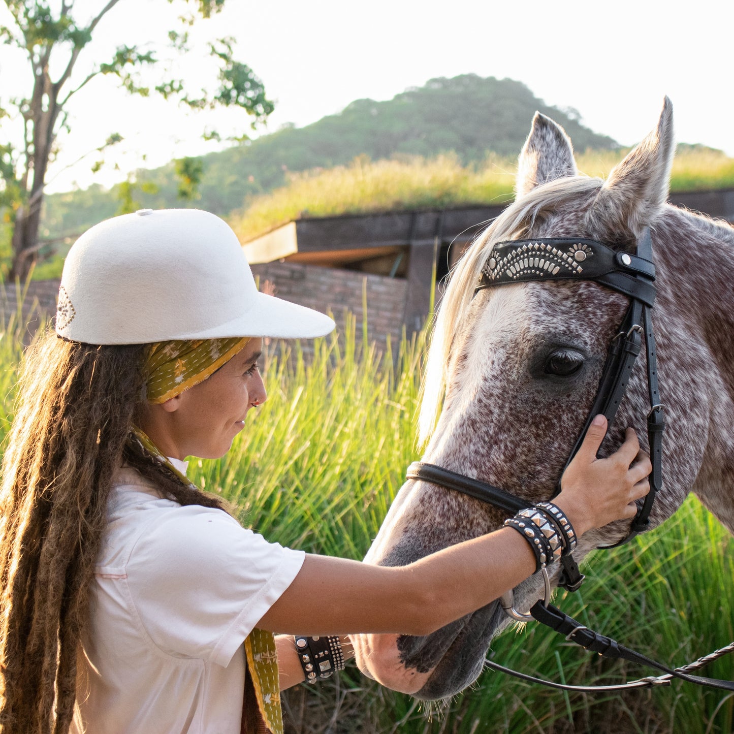 Suni Browband