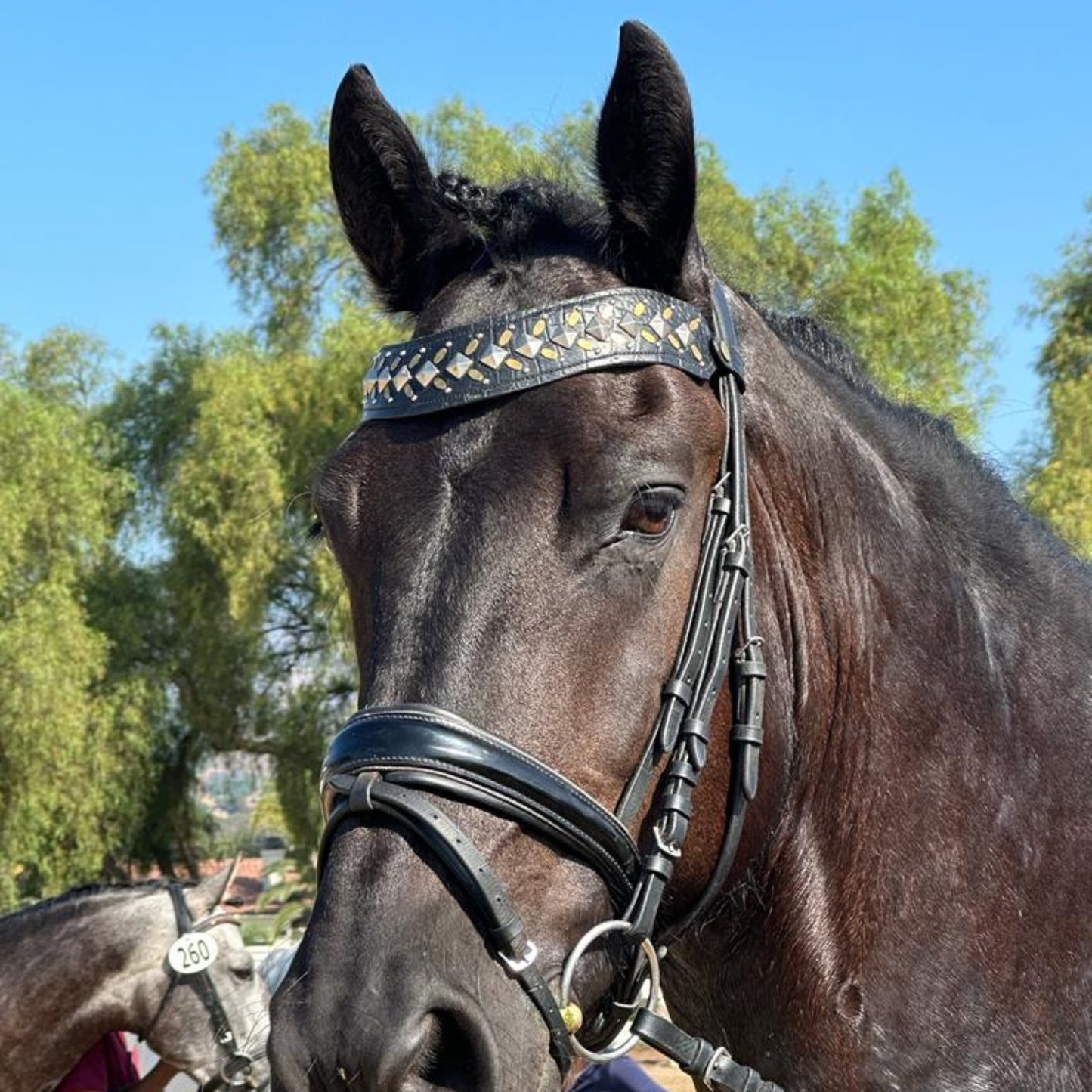 Zahara Browband