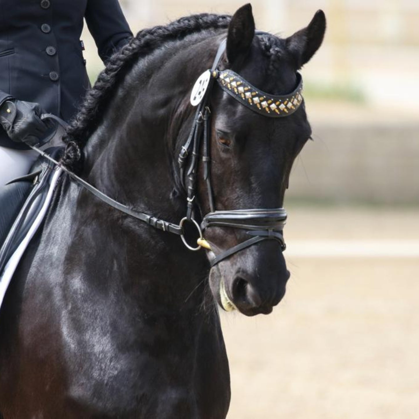 Zahara Browband