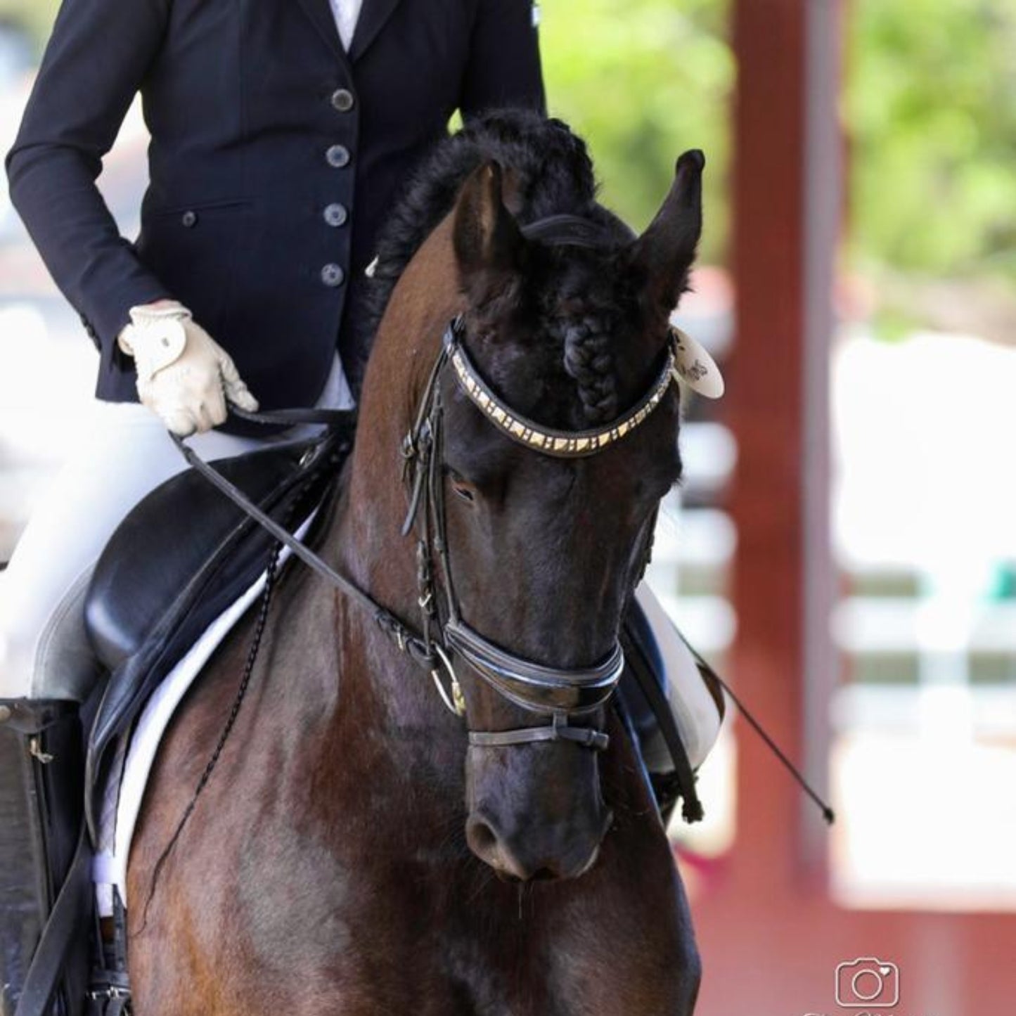 Zumo Browband