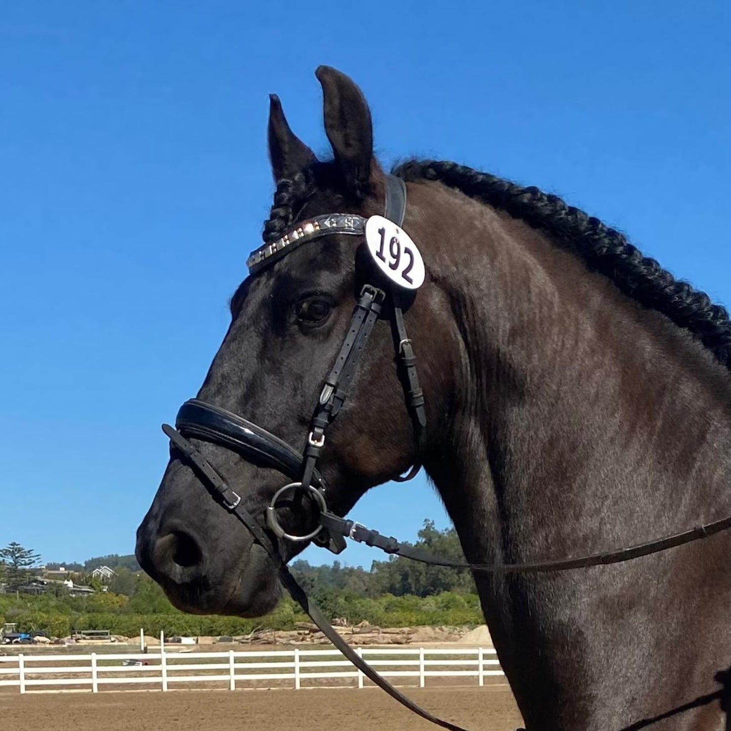 Zumo Browband