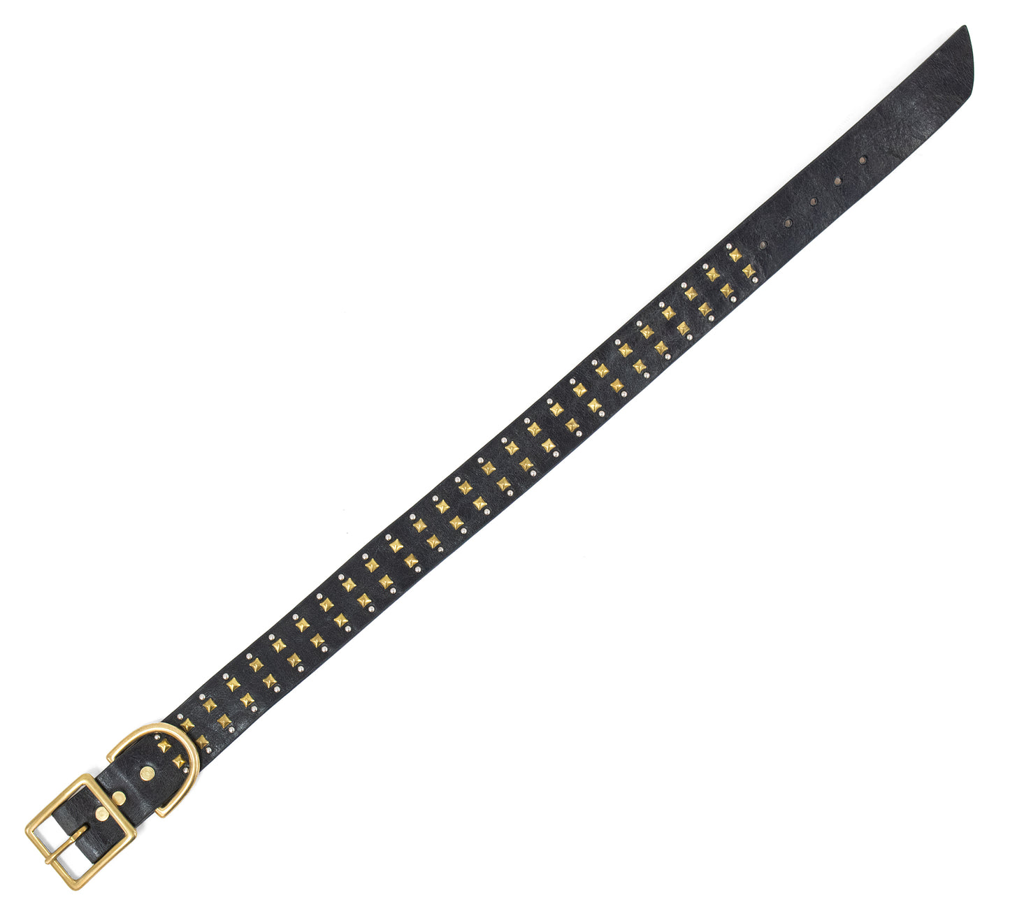 Mare 19" Dog Collars
