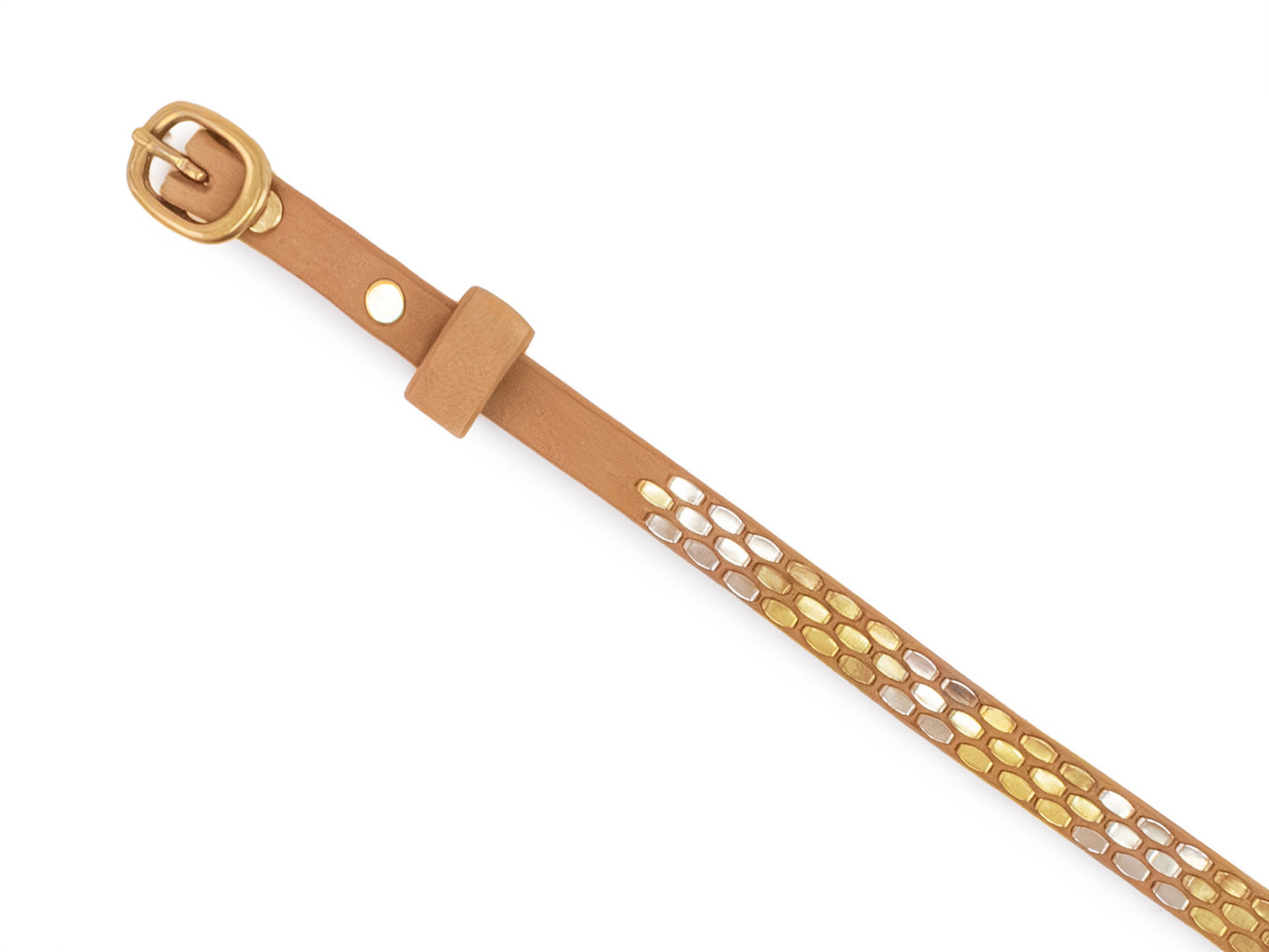 Snake .5" Belt