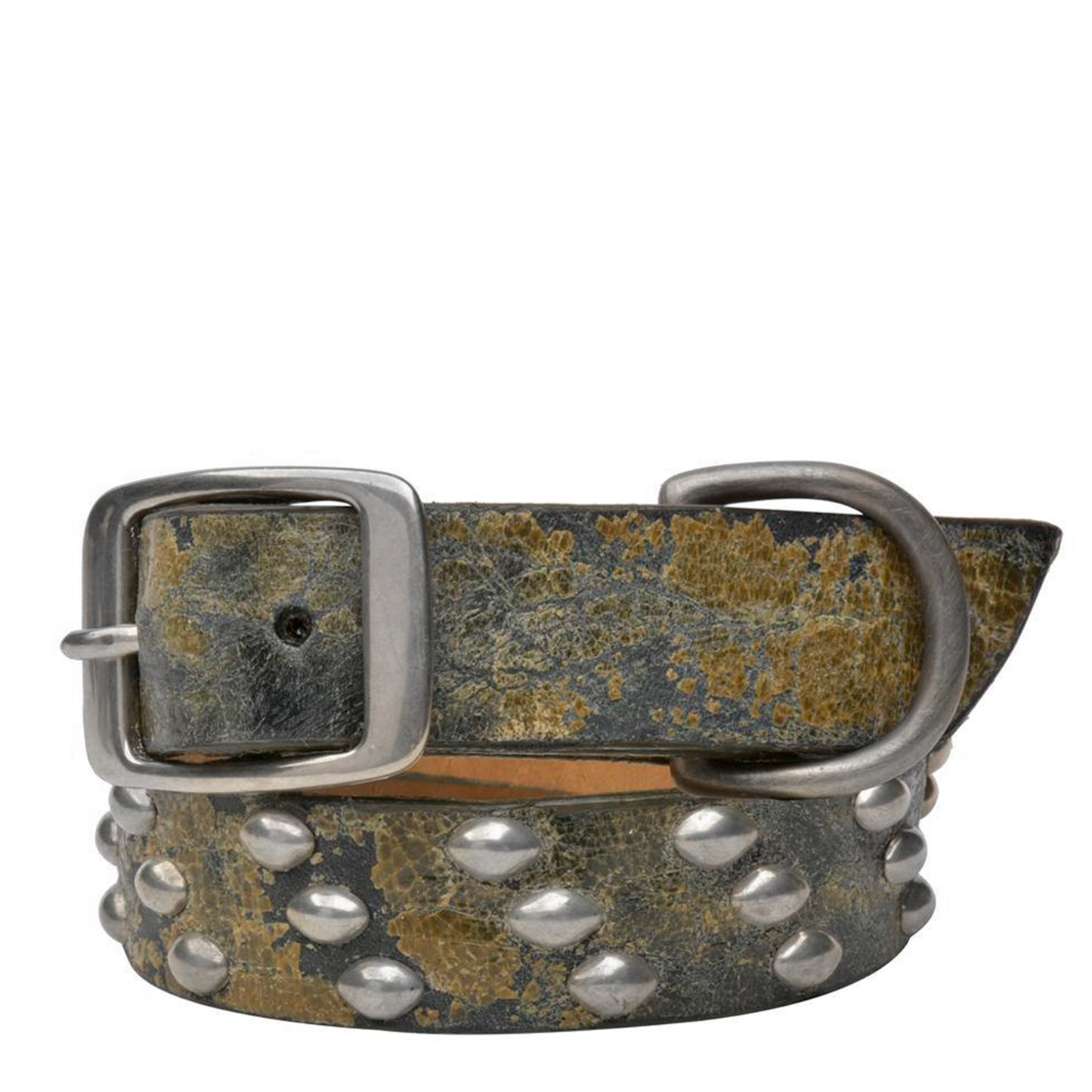 Tortuga 19" Dog Collars