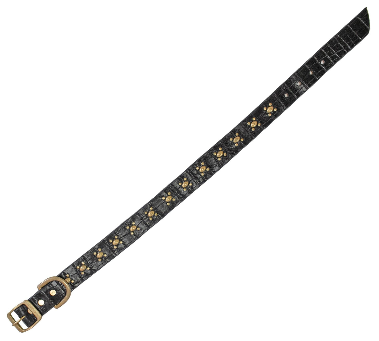 Abeja 17" Dog Collars - Calleen Cordero