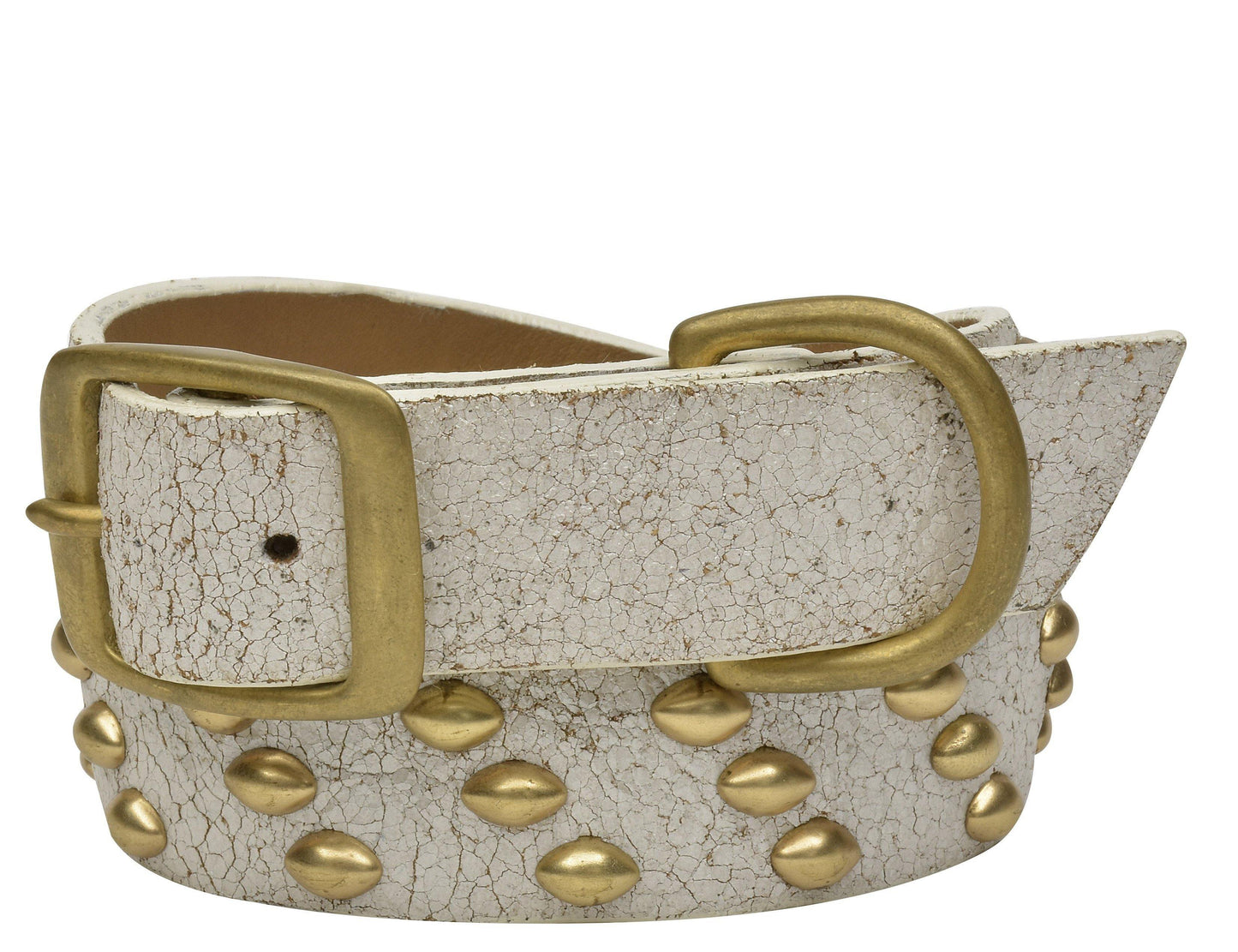 Tortuga 20" Dog Collars - Calleen Cordero