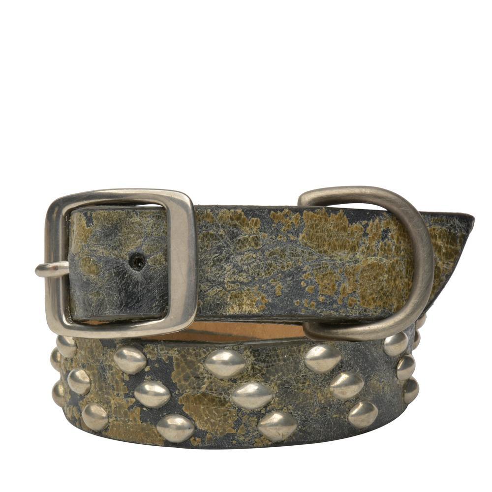 Tortuga 22" Dog Collars - Calleen Cordero