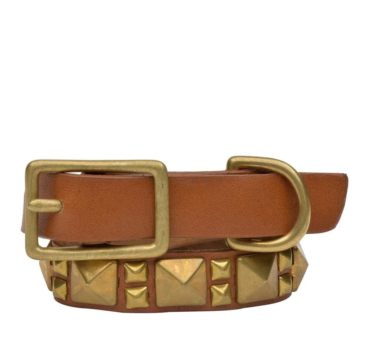 Zumo 12" Dog Collars - Calleen Cordero