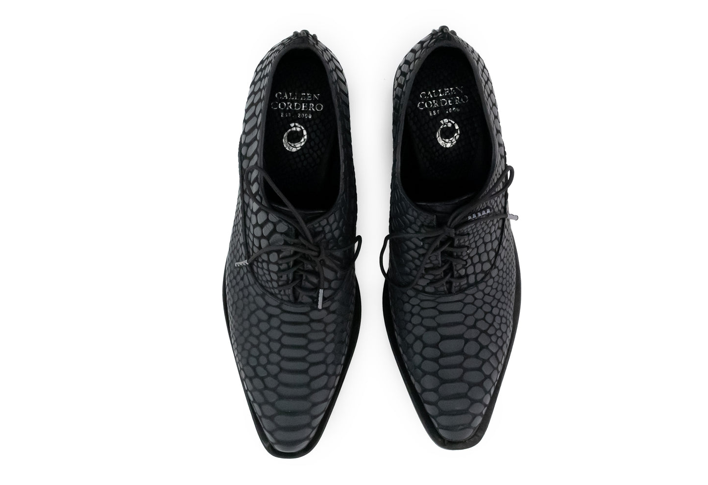 Kale Oxford