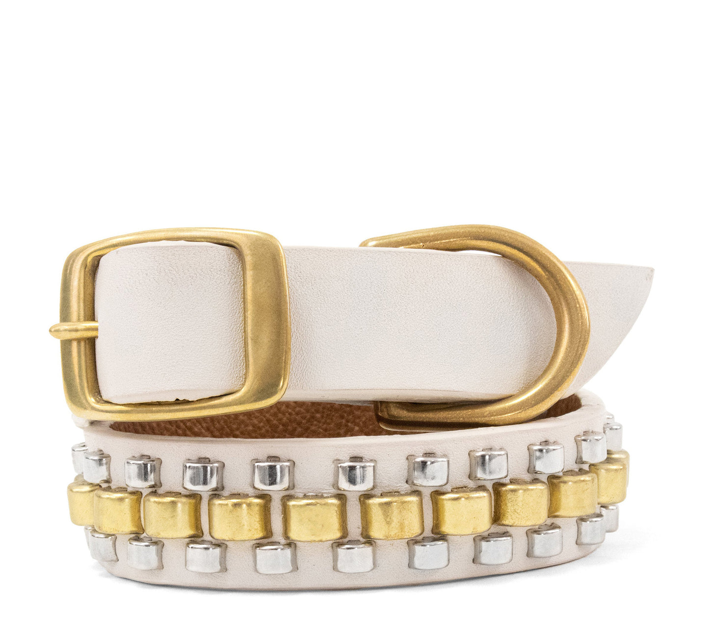 Rolex 15" Dog Collars