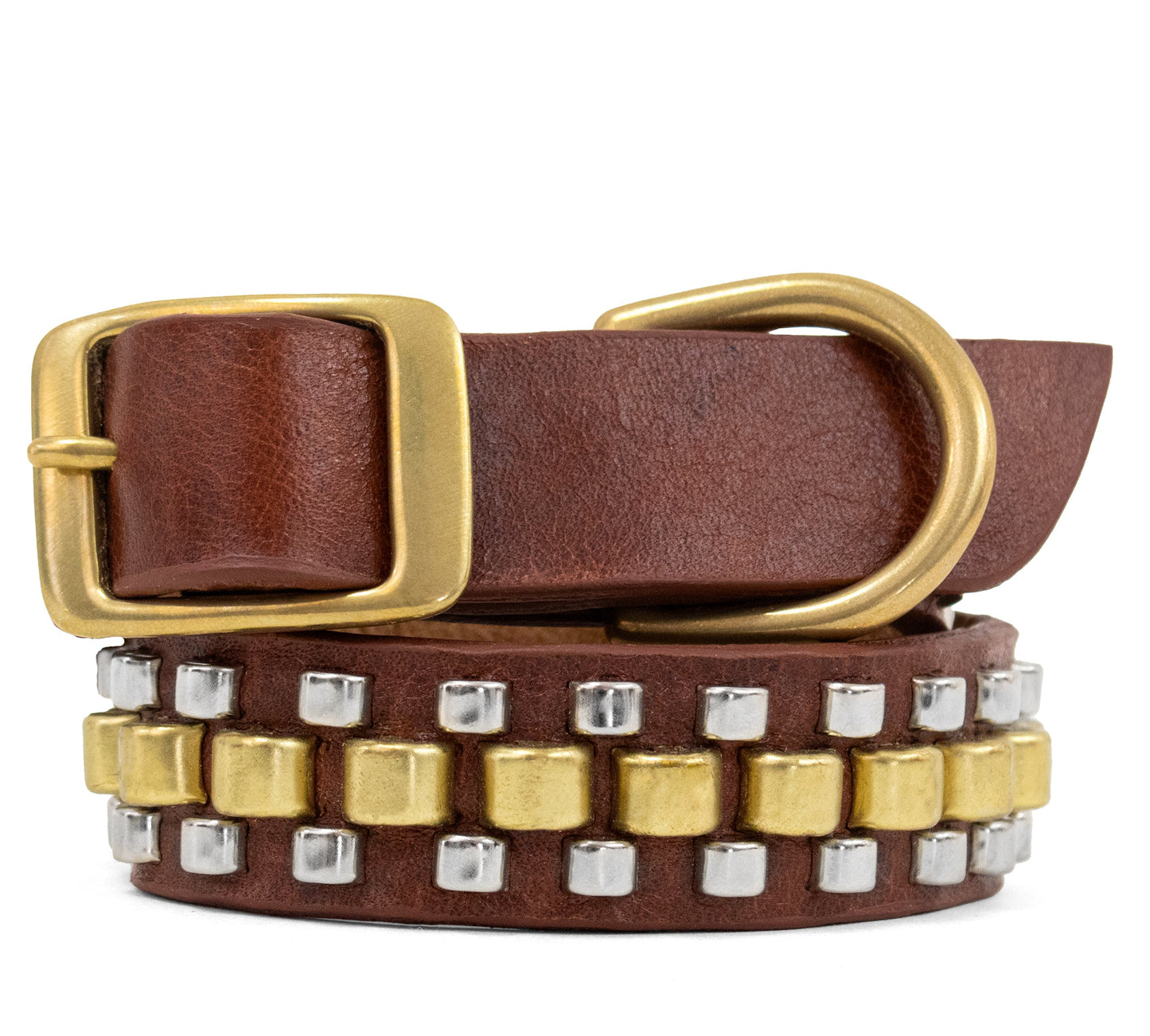 Rolex 15" Dog Collars