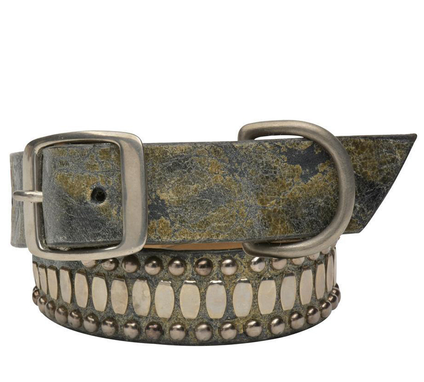 Concha 19" Dog Collars
