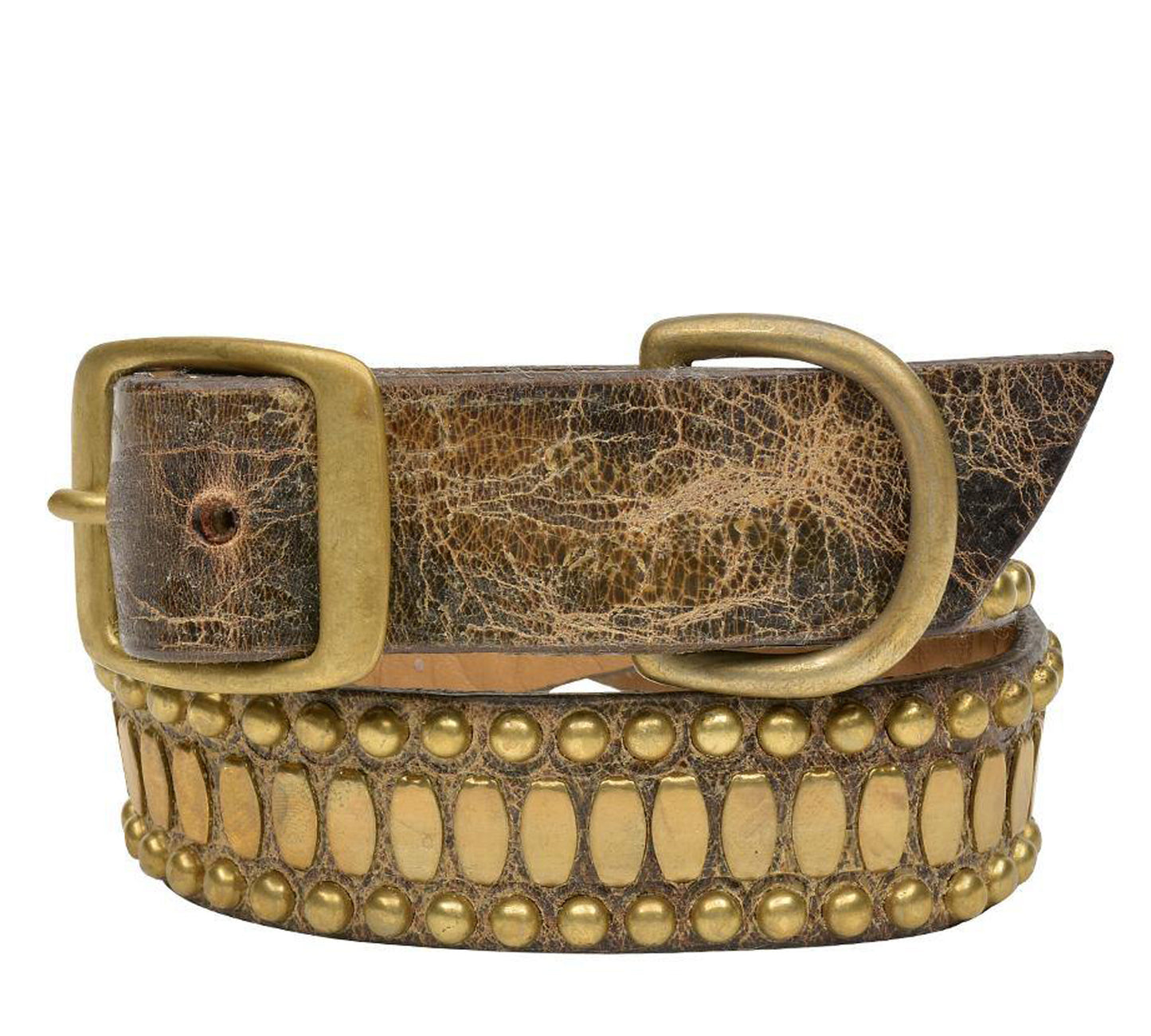 Concha 19" Dog Collars