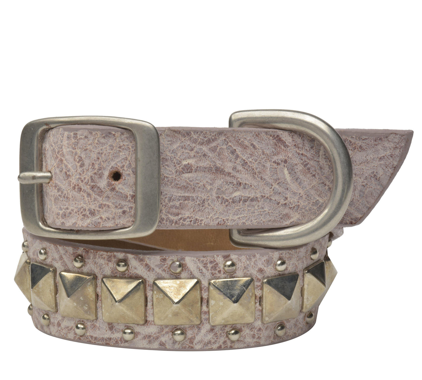 Pancho 22" Dog Collars
